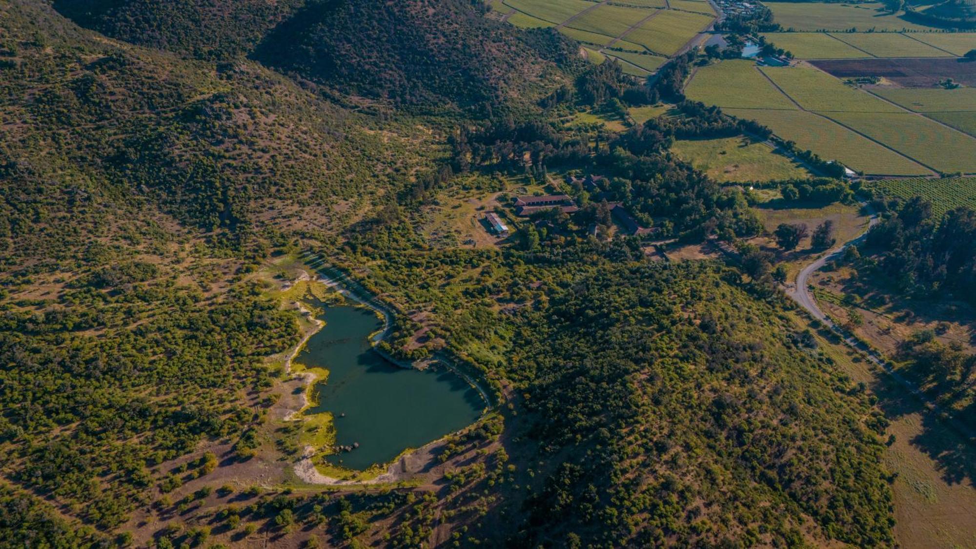 Hacienda Los Lingues Chile Valle De Colchagua المظهر الخارجي الصورة