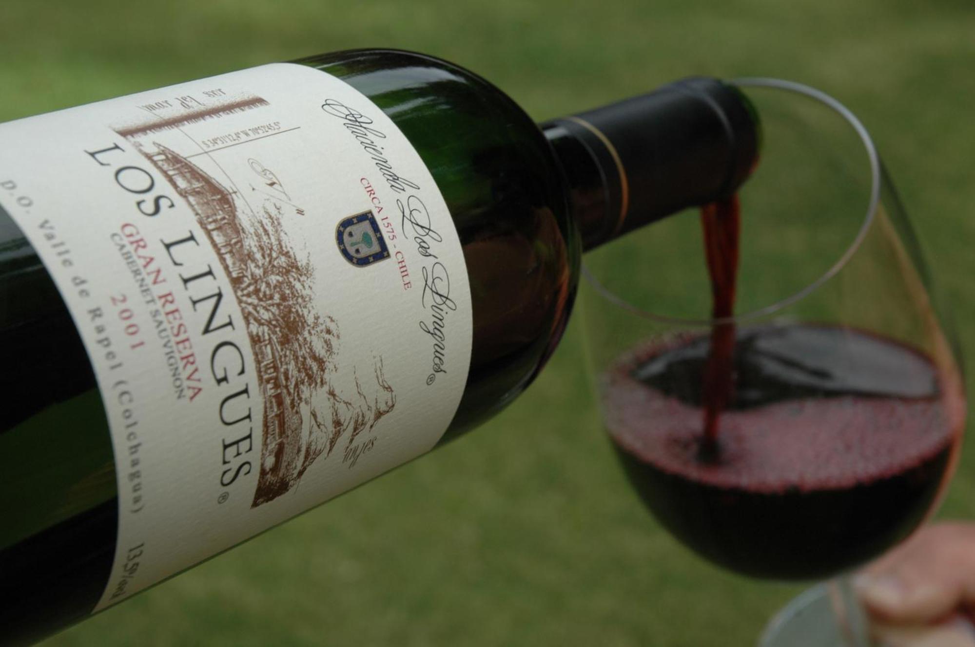 Hacienda Los Lingues Chile Valle De Colchagua المظهر الخارجي الصورة