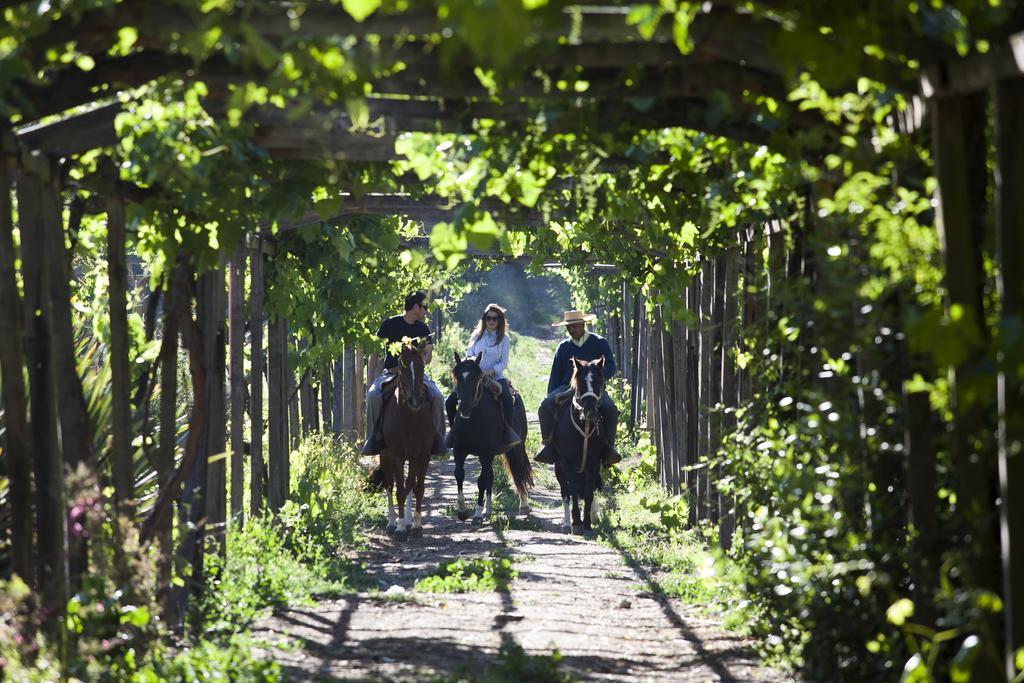 Hacienda Los Lingues Chile Valle De Colchagua المظهر الخارجي الصورة
