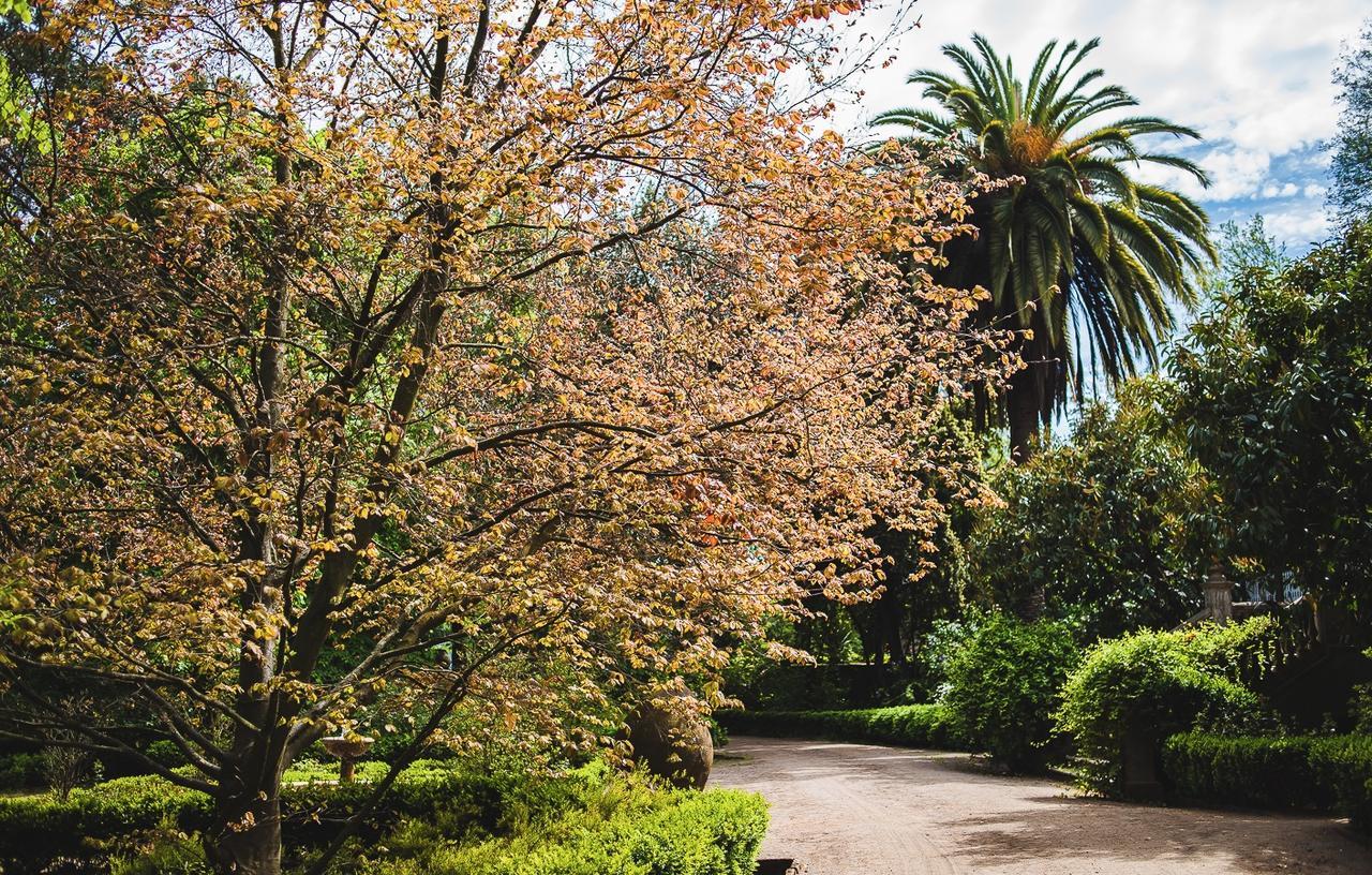 Hacienda Los Lingues Chile Valle De Colchagua المظهر الخارجي الصورة