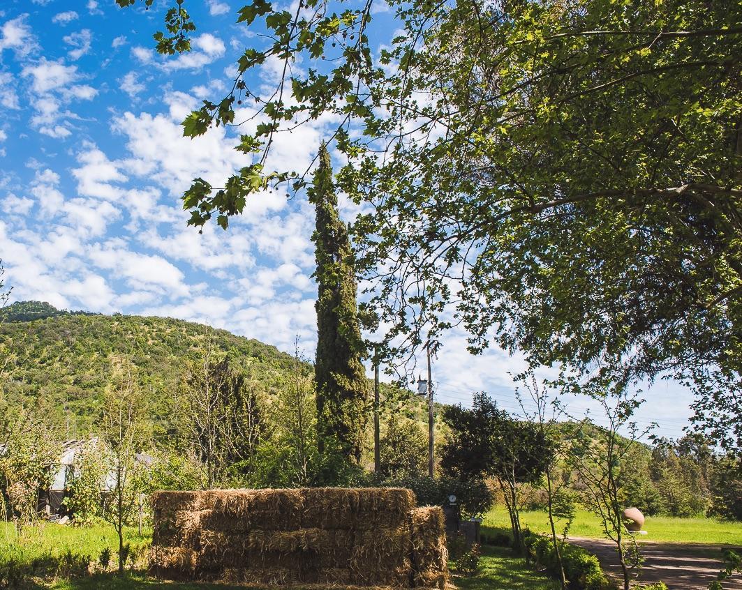 Hacienda Los Lingues Chile Valle De Colchagua المظهر الخارجي الصورة